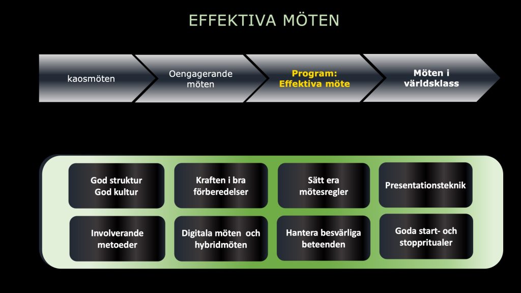 Effektiva möten Antoni Lacinai